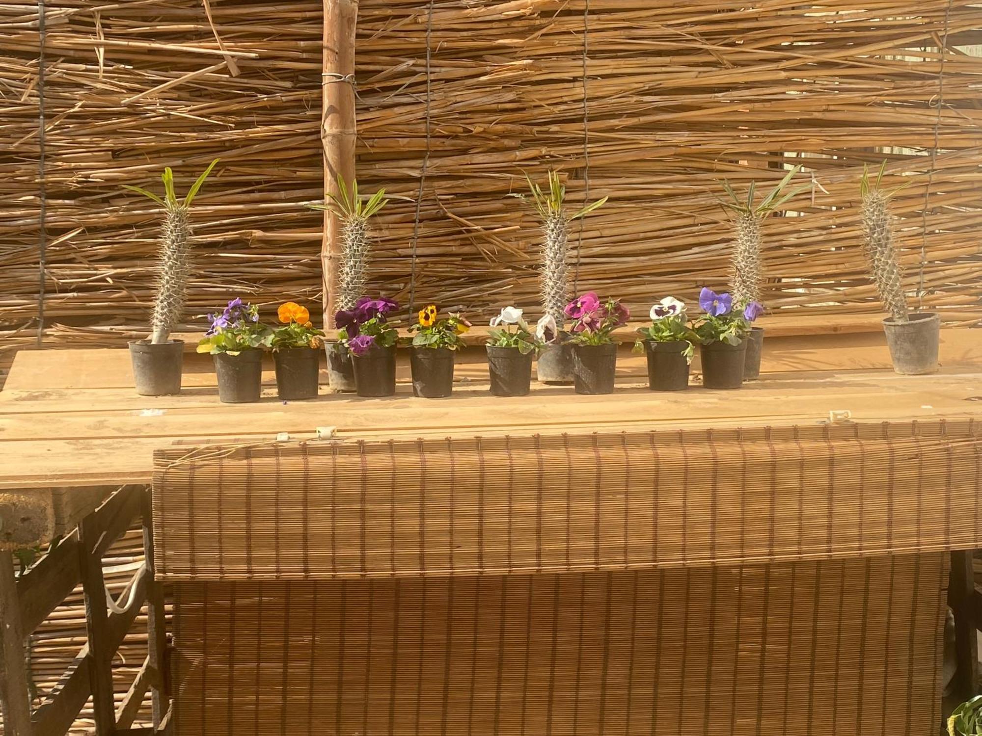 Airport Rooftop Club Luxurious Rooms And Studios Kairo Exterior foto